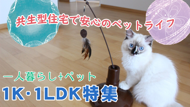 【1K・1DK・1LDK特集】ひとり暮らし＋ペットにぴったりなお部屋