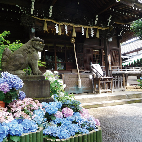 白山神社（白山公園）