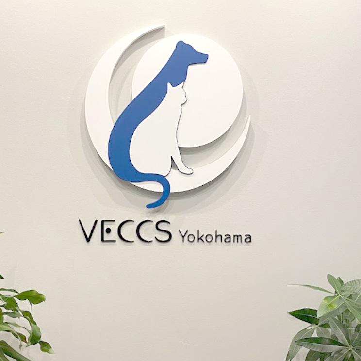 横浜動物救急診療センター VECCS横浜