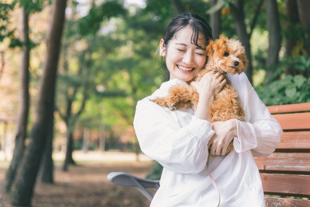 東京都内で愛犬と暮らしやすい街