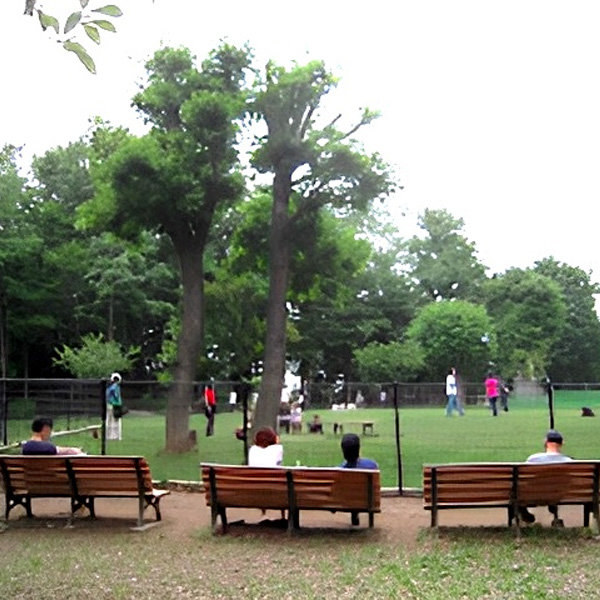 蘆花恒春園（ドッグラン）